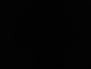 Bestiality with a couple and their dog