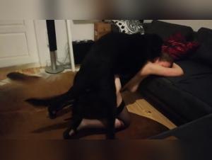 zoophilie videos beastiality