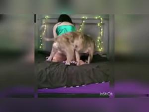 Hidden camera in the bedroom: a beastly encounter