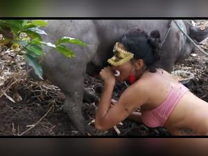 Bestial Encounter: A Woman and a Pig