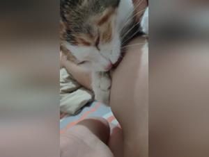 Zootubex Unveiled: Taboo Desires