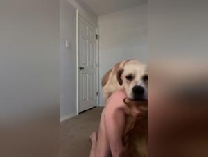 adolescente besa perro, sexo brutal