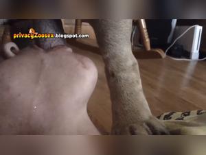 Forbidden Passion: Girlfriend and Dog