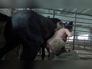 Masha's Forbidden Passion: Russian Woman and Her Horse