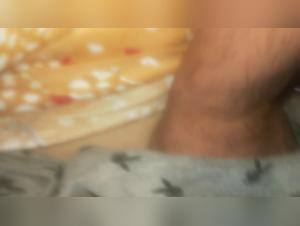 Evolving Bestiality Trends