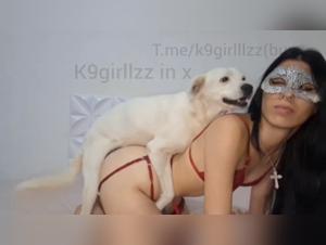 Art of Zootography Erotic: Comics that Show Human Desire for Animals in Images