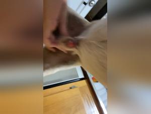 Exploring the Depths of Zoophilia