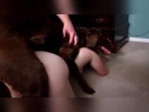 Bestiality: A Woman and Her Dog in an Amateur Video