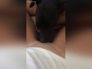 Milf alone at home: a beastly encounter with a dog