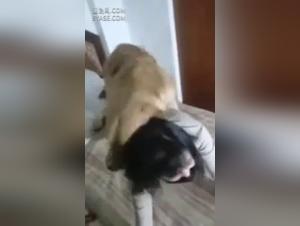 Banned video: Bestiality sex with a dog