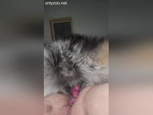 teen dog sex alone