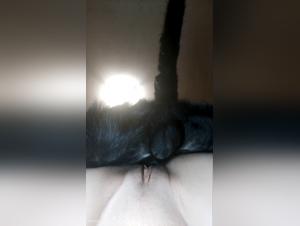 Woman and Dog: An Intimate Scene