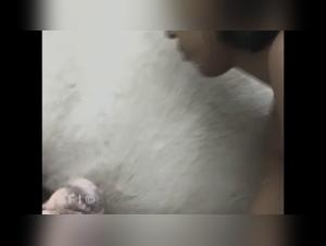 Exploring the Dark Side: Animalistic Porn Content