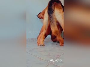 Teen Lust : Baise Chien Partie 6