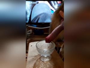 Dog Sex Video - Hardcore Bestiality