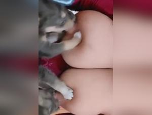 An Unexpected Encounter: Oppai Hunter and Bestiality