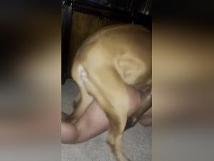 Hardcore Bestiality Sex Videos: Discover the World of Dog Sex