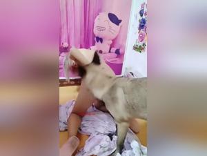 Chinese woman and her dog: a hard zoophilia video