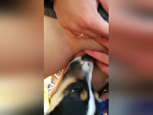 Extreme Outdoor Zoophilia with Doggy Masturbation