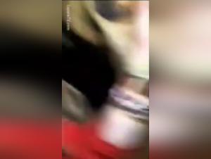 bestiality taboo dog