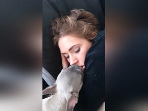Unconscious woman with dog