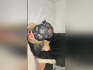 Exploring the Boundaries of Canine Submission