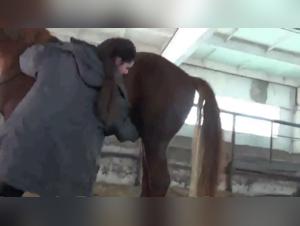 Russian Woman and Horse Hardcore Sex