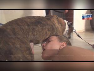 Unveiling Unusual Animal Interactions