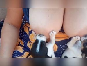 Breastfeeding Puppy: An Exciting Sexual Encounter