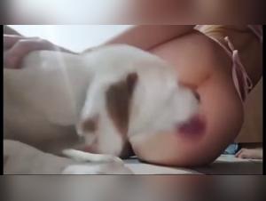 bestialityporn animalporn