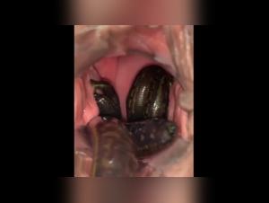 Bestiality: a woman and her dog