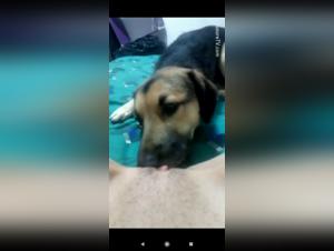 Video of Sex with a Dog