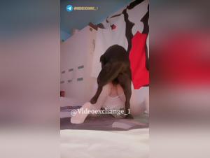 Homemade Video: Hund vögelt eine Frau