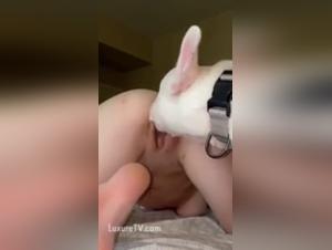 Submissive woman and dog: an extreme bestiality video