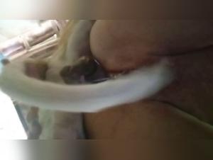 woman and dog forbidden meeting