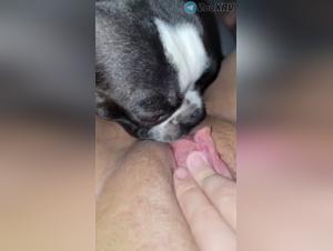  Chien Lèche & Baise : Milly Se Délecte
