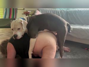 Chubby Granny Submits to Dog Mounting - Extreme XXX