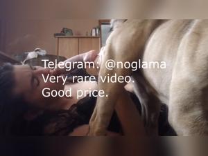 Unveiling the Taboo: Dog Porn Videos