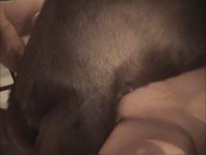 Sweet love canin: baise chien chambre