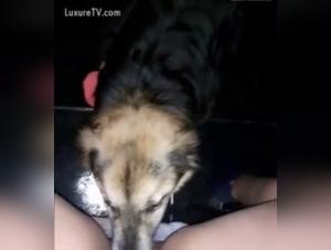 Submissive woman gets fucked by a dog