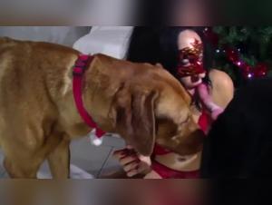 Beastly Christmas party with Lise and her four-legged friends