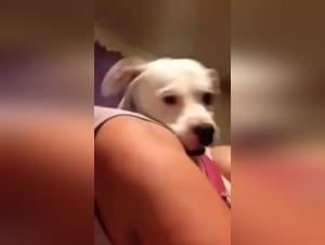 Bestiality with a mature woman and her dog