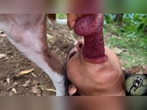 mia's wild dog fuck frenzy