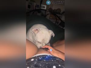 la salope et son chien : léchouilles érotiques