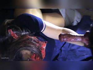 Woman and Dog: A Prohibited Encounter