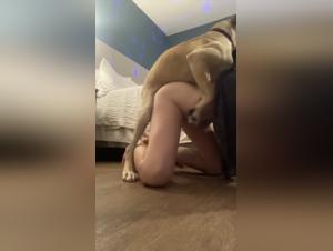 Denis and his new canine partner: a scene of intense zoophilia