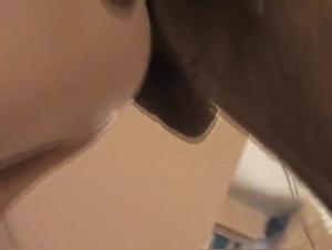 Perro folla a AAS Milly