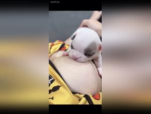 Woman Breastfeeding a Puppy: An Exciting Zoophilia Experience