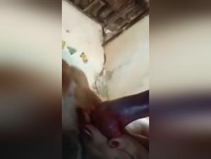 Bestiality sex video with a woman and a dog