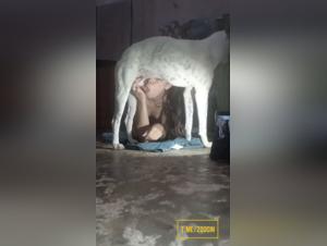Dog Sucks Girl